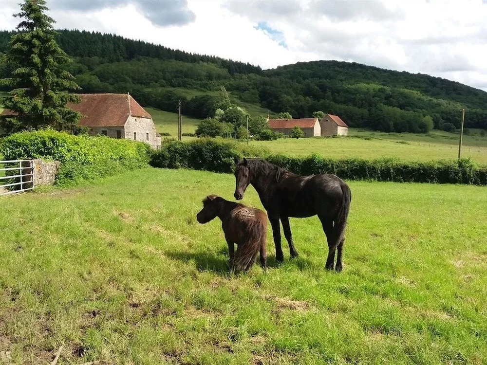 Gites des Aubues