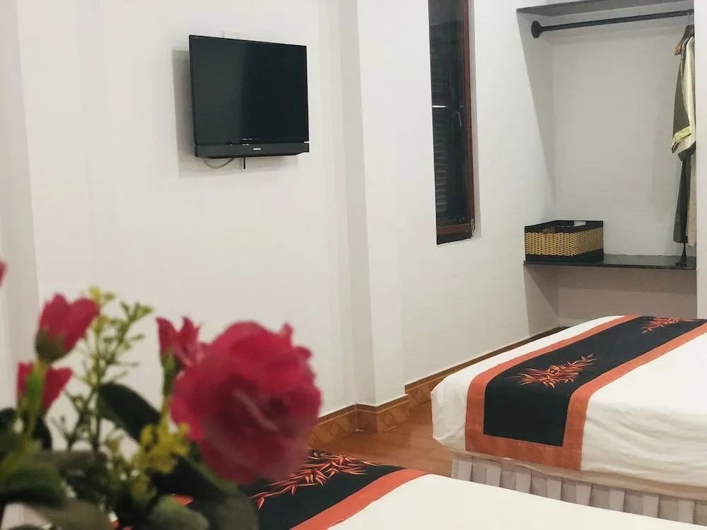 Tammy Hostel