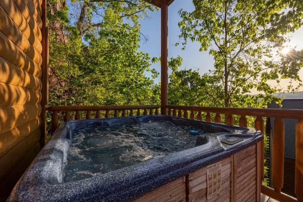 Scenic Vista Lodge