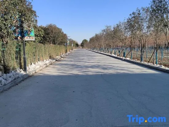 Tiantian Holiday  Hotel
