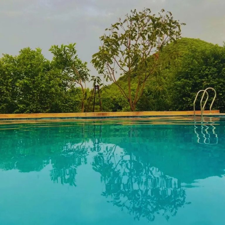 Sariska Forest Trail