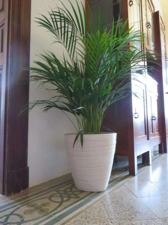 Masseria Borgo Santuri
