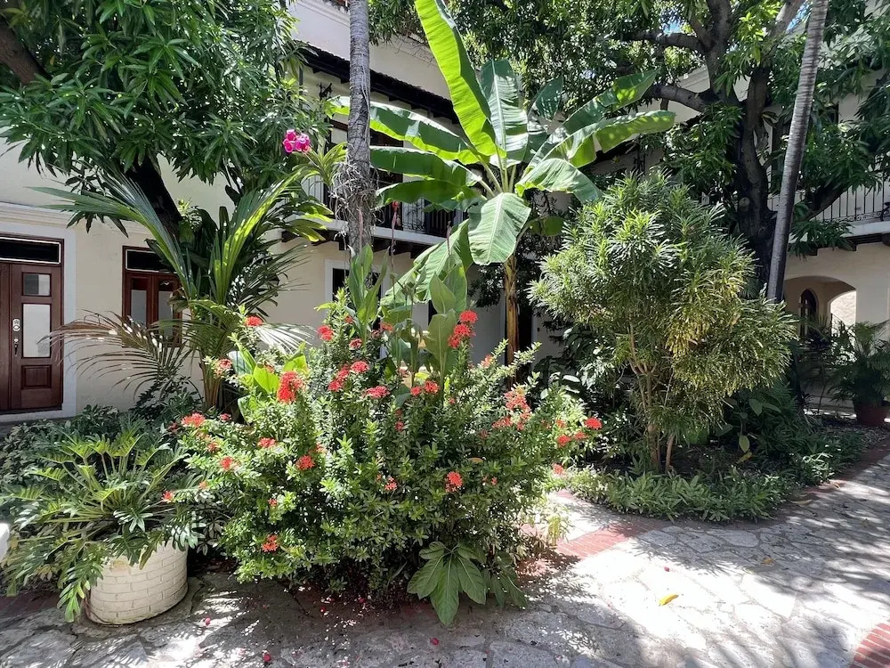 Paseo Colonial - Leo's Favorite