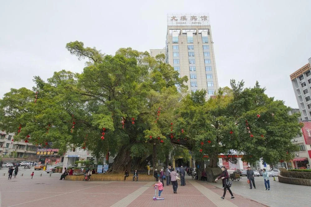 Youxi Hotel