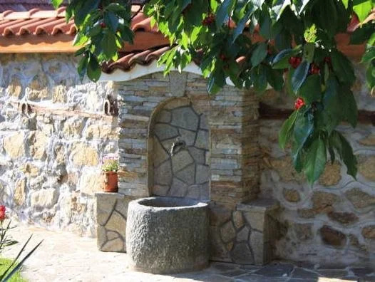 Iliikova House