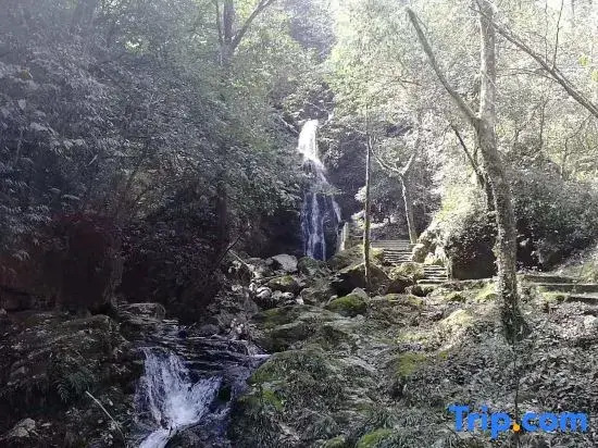 Fanjingshan Wuyuan Residence