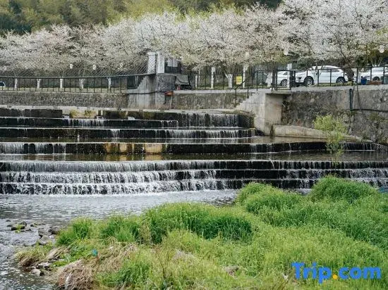 Translation: Tingjian · Moganshan | Forest Oxygen Private Hot Spring Resort Homestay