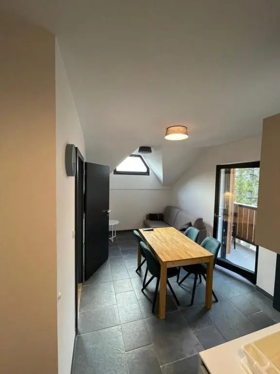Golte - A2 Apartment - ski in/Out