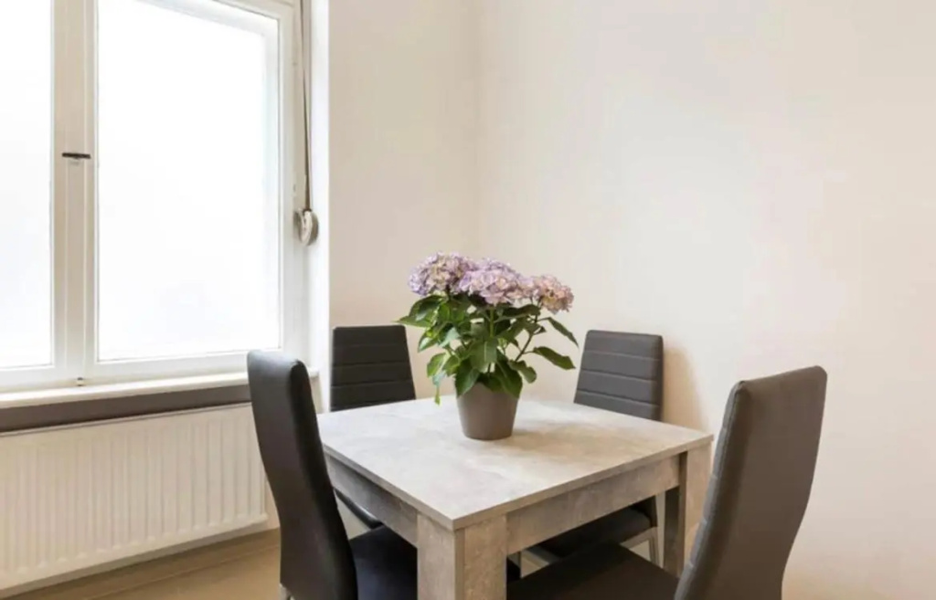Nice City Center Studio