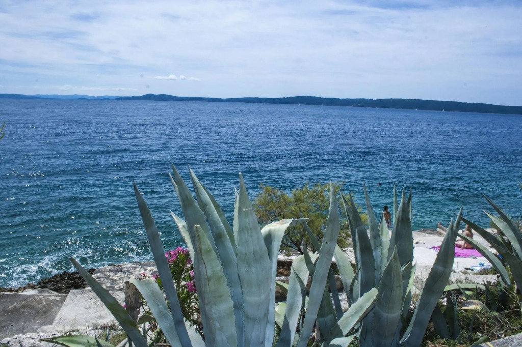 Daniela - Terrace With Amazing sea View - A1