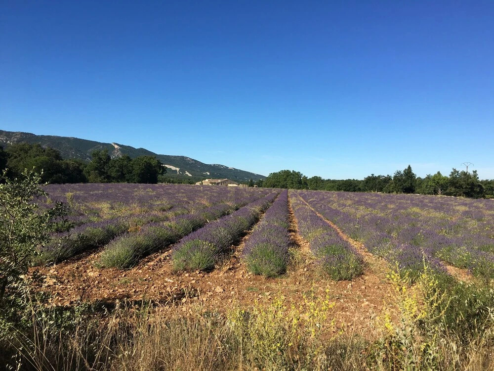 Le Clos D'Estellan - Gites & Suites