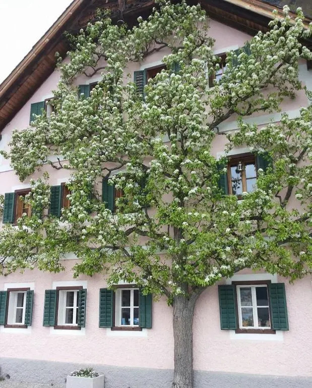 Apartment Luise
