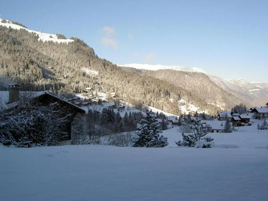 Appartement La Clusaz, 3 pièces, 6 personnes - FR-1-437-10
