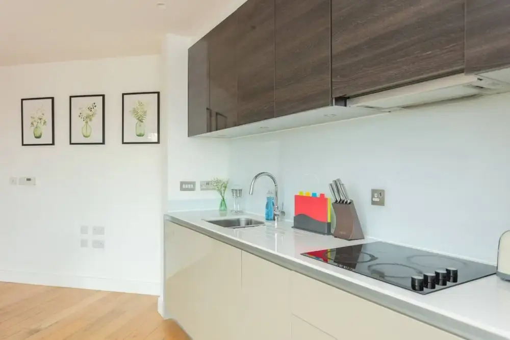 Contemporary 1 Bedroom Apartment in Canning Town With Balcony