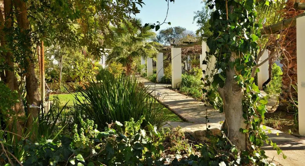 Swartberg Hotel, Cork Tree Collection