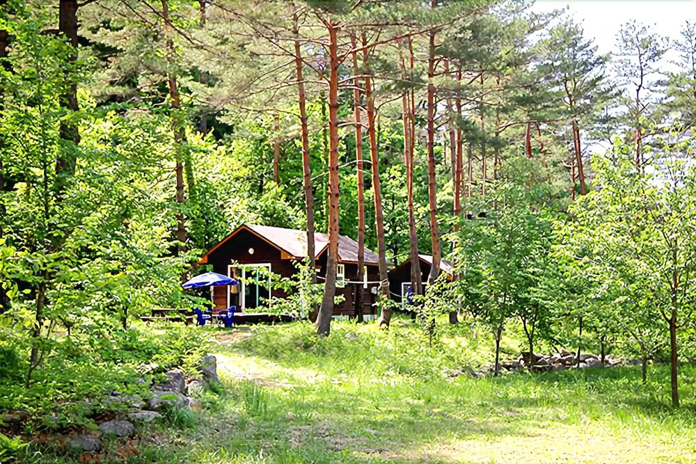 Yangyang Forest Home Pension