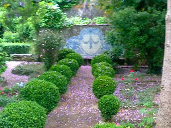 São Miguel Guest House