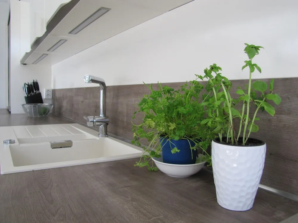 Villa Lavanda in Kriz Sezana with private swimpool