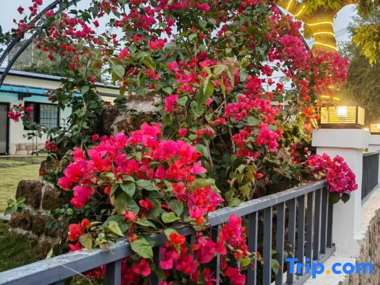 Weizhou Island Qihai Pan Custom Vacation Apartment (Shell Beach)