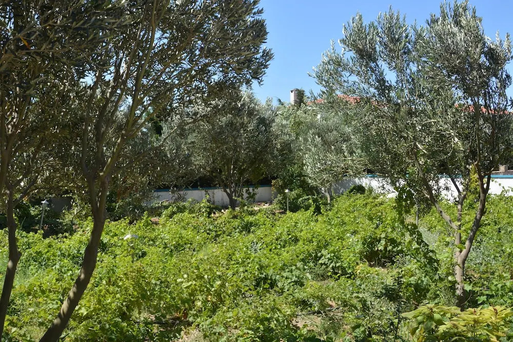 Anatolia Butik Otel