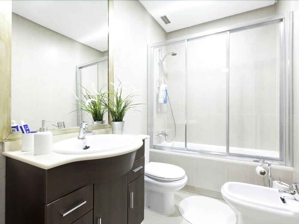 LAVAPIÉS Apartment I (1BR 1BT)