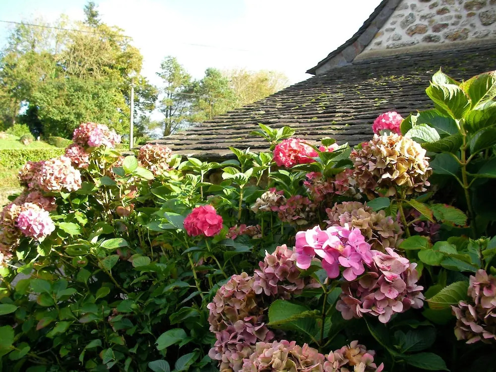 House With 2 Bedrooms in Le Cloître-saint-thégonnec, With Wonderful Ci