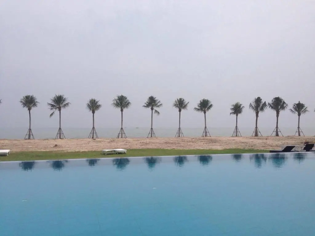 Hansar Cha am Casuarina