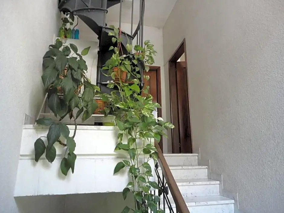 Le Ortensie di Via Rossetti