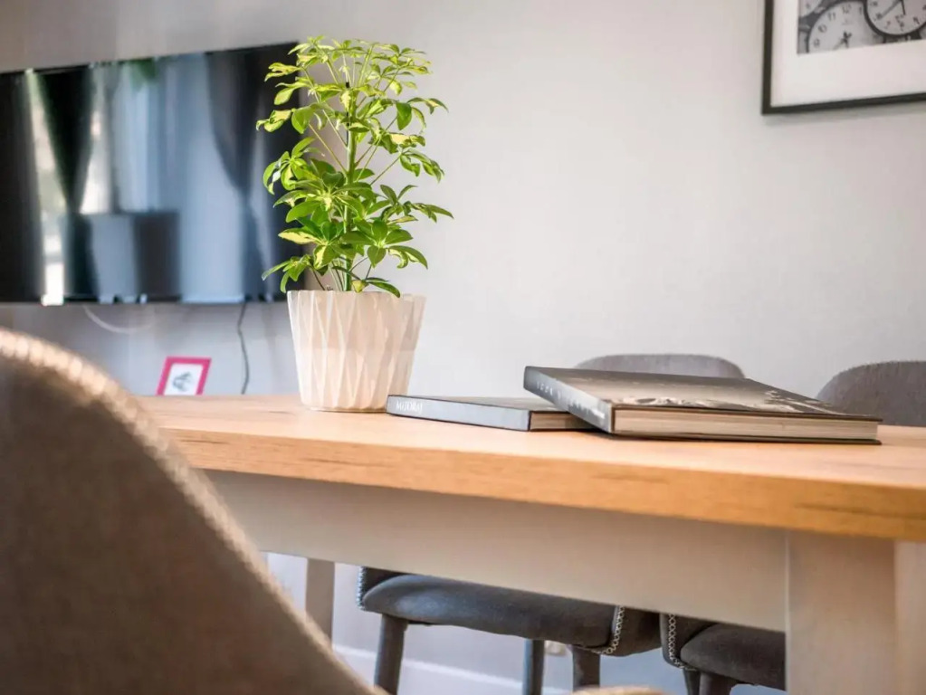 White Residence 4rooms - City Center