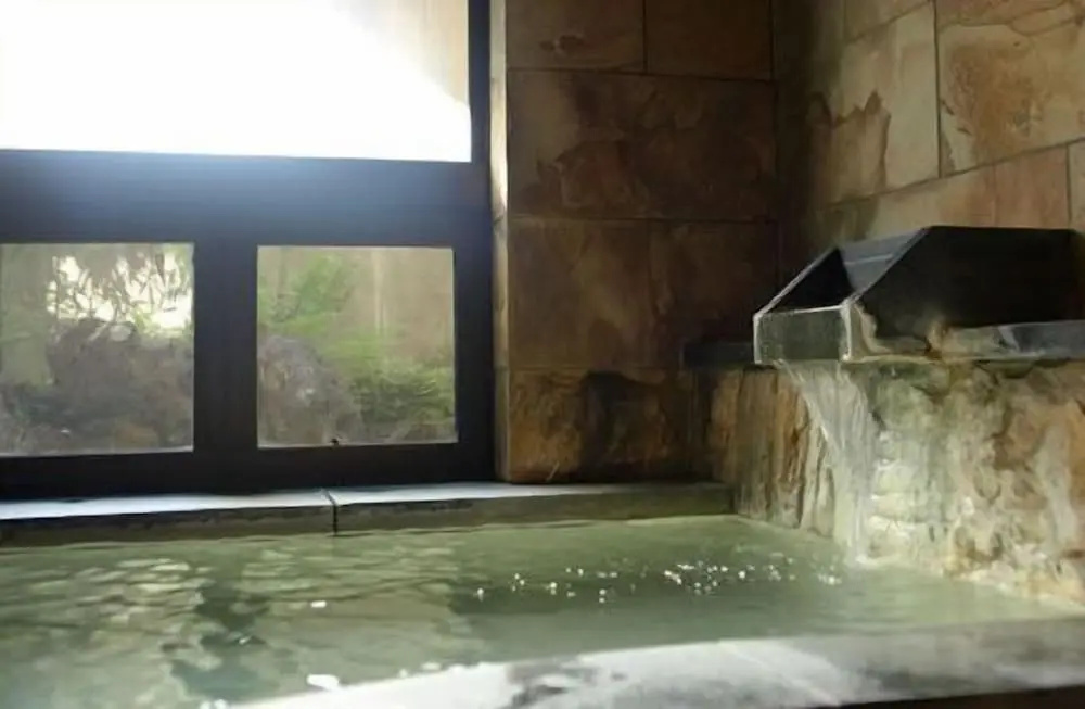 Hakuba Onsen Ryokan Shirouma-so
