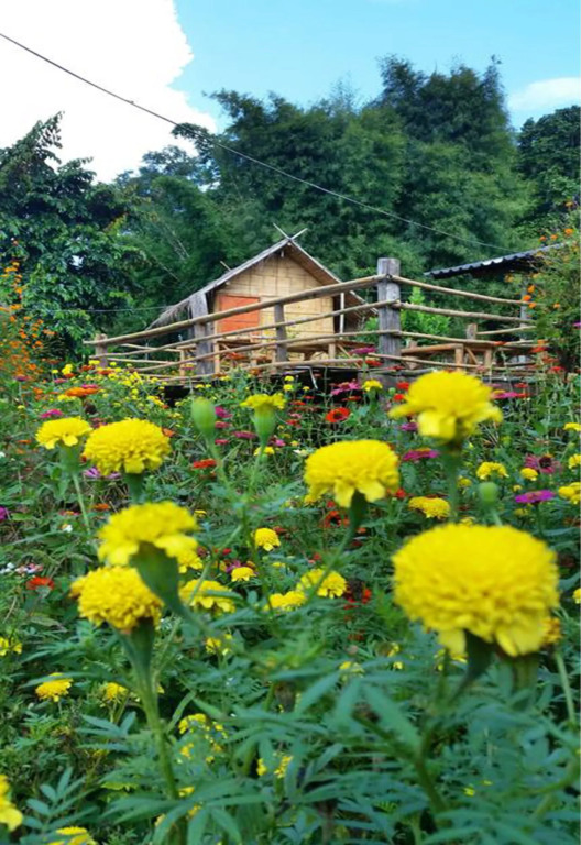 Baan AingDoi Homestay