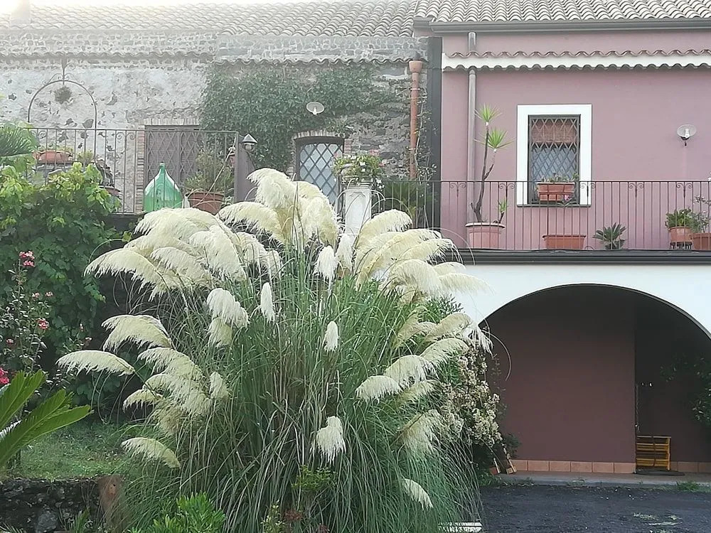 Etnante