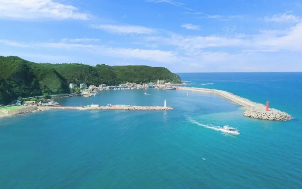 Gangneung Terra 176 Pension