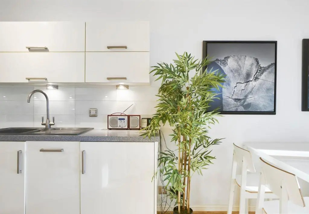 Stylish Central London Apartment with indoor Pool and Terrace with quiet view
