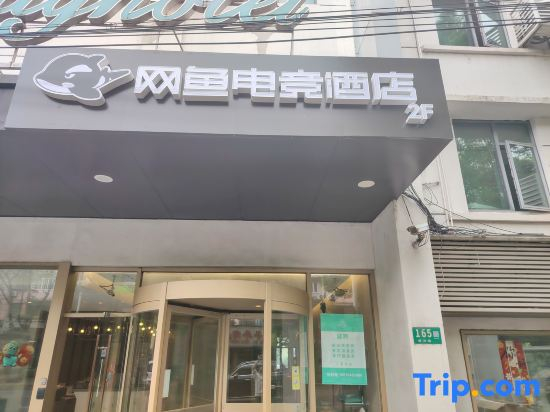 Netfish E-Sports（shanghai  wujing ECNU）
