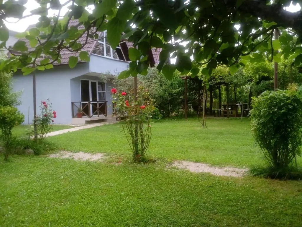 Салангана