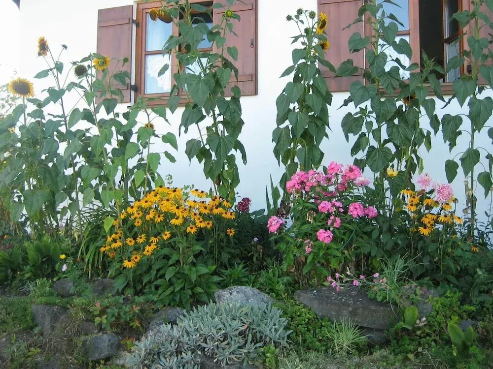 Ferienwohnung, Ingenried