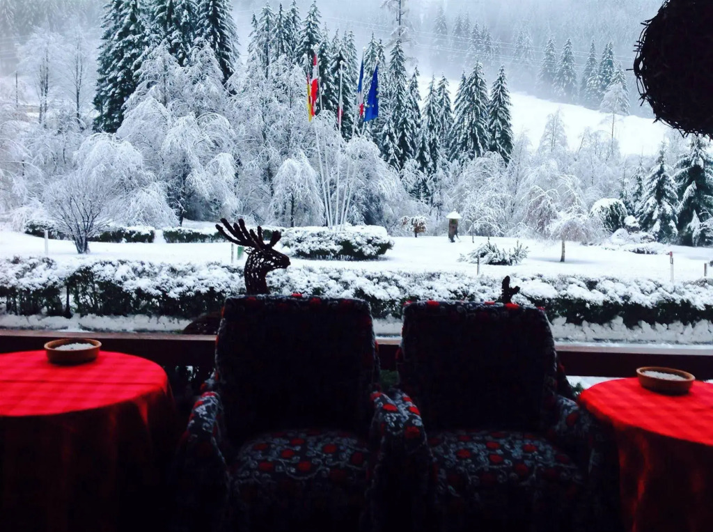 Hotel Foresta