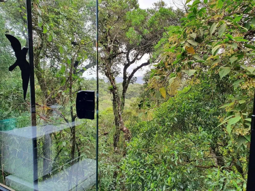 Chalé Coruja Listrada   Ninho Das Aves