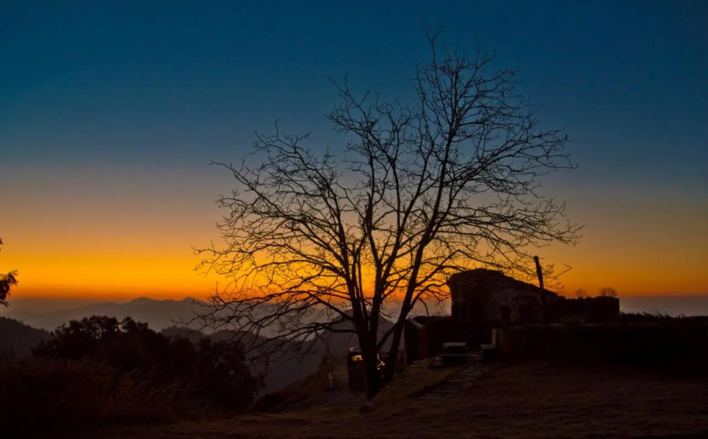 Tree of Life Grand Oak Manor, Binsar Wildlife Sanctuary