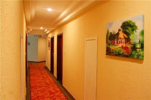 GreenTree Inn PuDong Disney Resort Airport Town Express Hotel