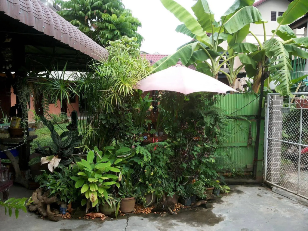 SDT Home
