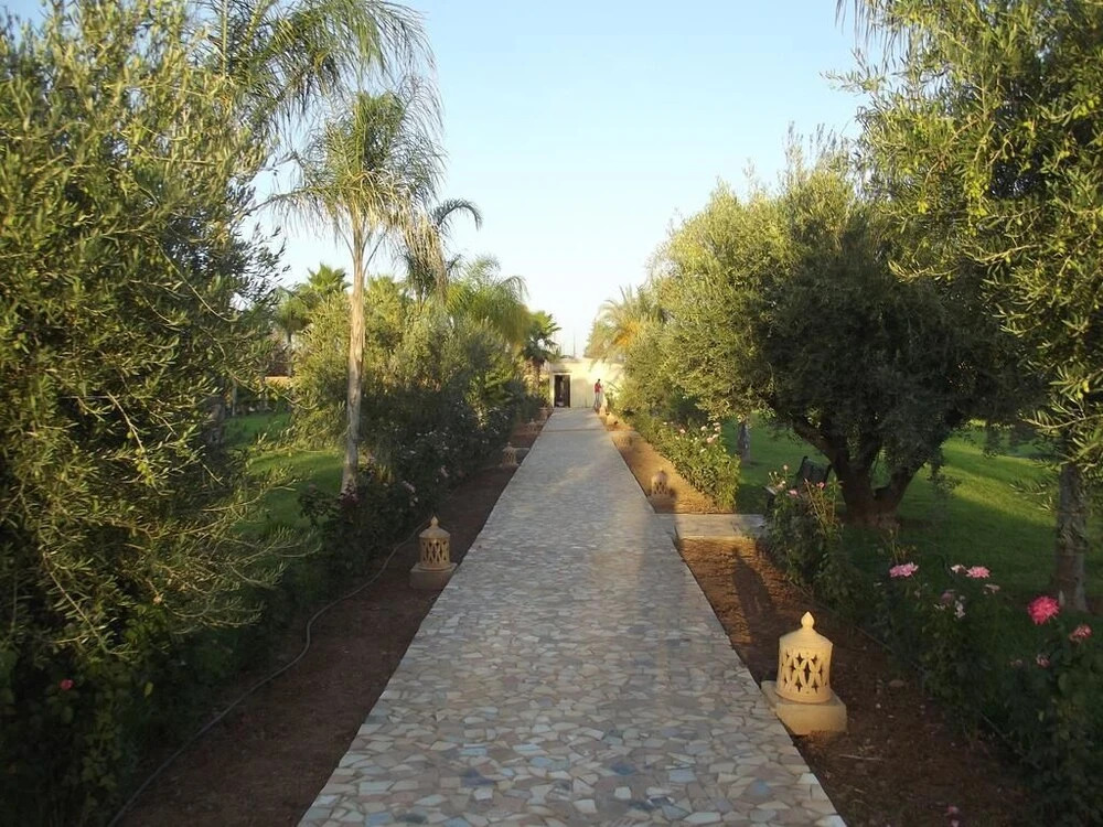 Riad Thycas