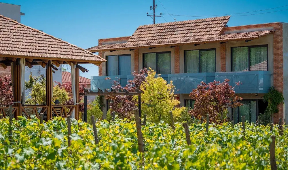 Giuaani Winery