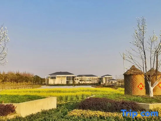 Oxygen Land Seclusive Villa