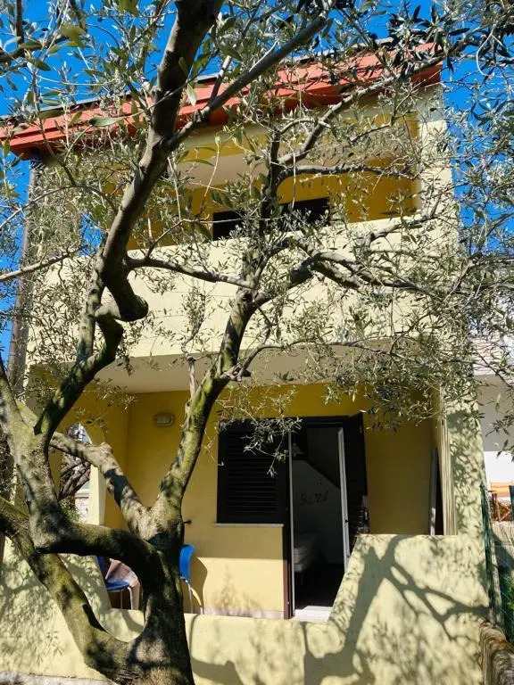 Trapan Apartments