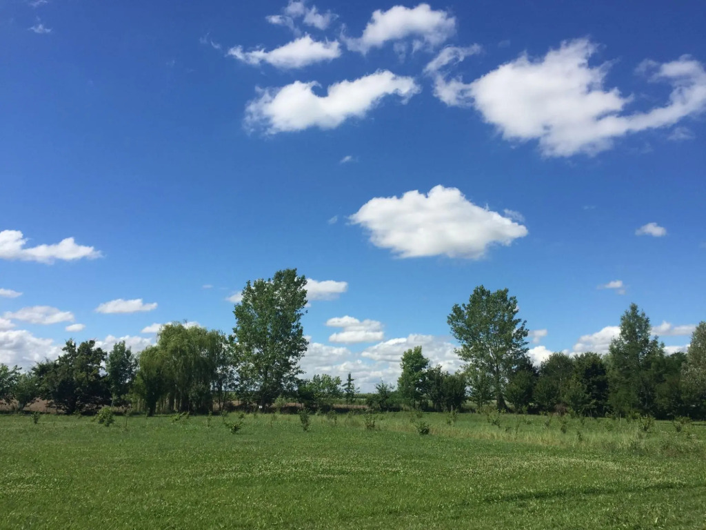 Pet-Friendly Nature Escape