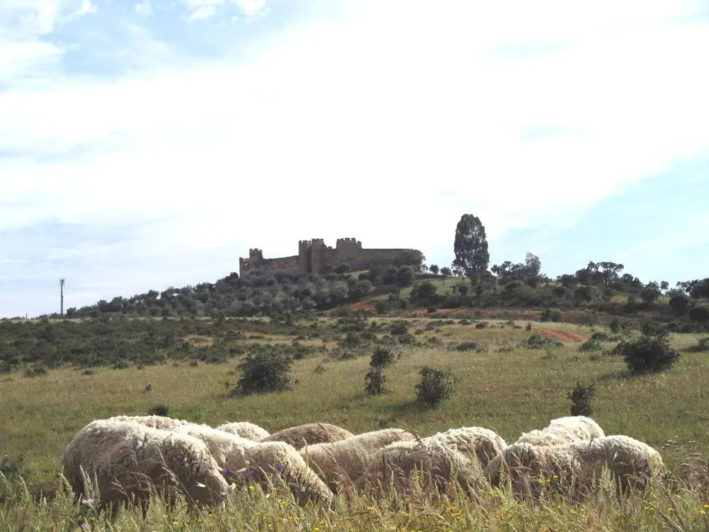 Casa De Terena