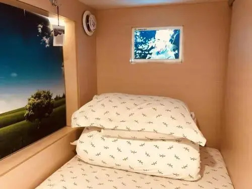 The Olive Tree Capsule Hostel