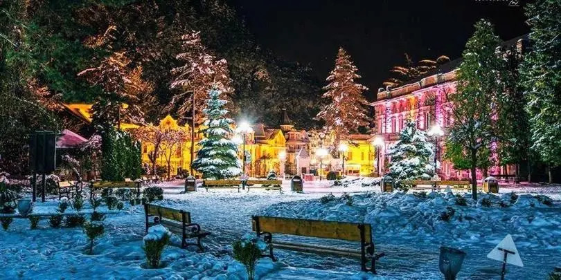 Rest In Borjomi